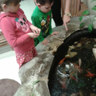 two children looking at pond with fish